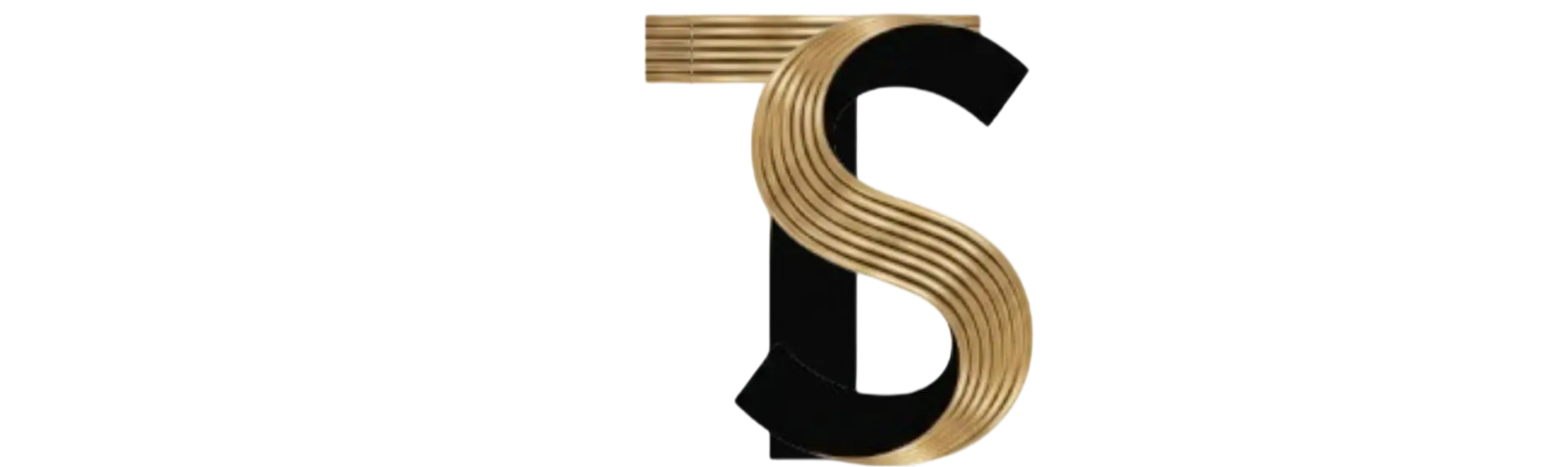 thinkndshop Logo